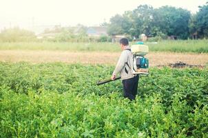 A farmer with a mist sprayer blower processes the potato plantation from pests and fungus infection. Protection and care. Use chemicals in agriculture. Agriculture and agribusiness. Harvest processing photo