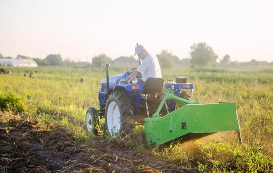 Farmer on a tractor digs out potatoes from soil. Extract root vegetables to surface. Farming and farmland. Simplify speed up work with technology and machines. Harvesting potatoes in autumn. photo