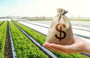 A hand holds out a dollar money bag on a background of potato plantation farm fields. Lending farmers for purchase land and seed material, modernization. Support and subsidies. Farm loans photo