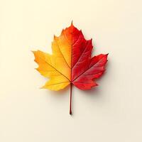 Vibrant autumn maple leaves displaying red and yellow gradients on white background, featuring natural textures and sharp details through macro photography with studio lighting. studio photo