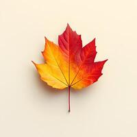 Vibrant autumn maple leaves displaying red and yellow gradients on white background, featuring natural textures and sharp details through macro photography with studio lighting. crisp photo