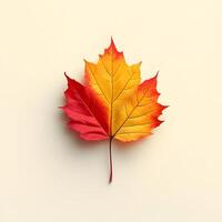 Vibrant autumn maple leaves displaying red and yellow gradients on white background, featuring natural textures and sharp details through macro photography with studio lighting. red photo