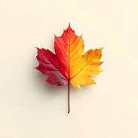 Vibrant autumn maple leaves displaying red and yellow gradients on white background, featuring natural textures and sharp details through macro photography with studio lighting. detail photo