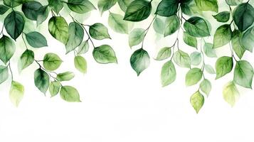 Fresh green leaves arranged in border composition with watercolor effect, featuring various shades and photorealistic botanical details with natural shadows. balanced photo