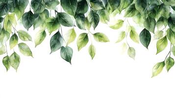 Fresh green leaves arranged in border composition with watercolor effect, featuring various shades and photorealistic botanical details with natural shadows. energetic photo