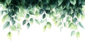 Fresh green leaves arranged in border composition with watercolor effect, featuring various shades and photorealistic botanical details with natural shadows. lively photo