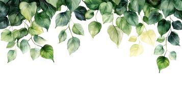 Fresh green leaves arranged in border composition with watercolor effect, featuring various shades and photorealistic botanical details with natural shadows. transparent photo