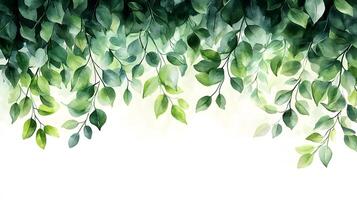 Fresh green leaves arranged in border composition with watercolor effect, featuring various shades and photorealistic botanical details with natural shadows. garden photo