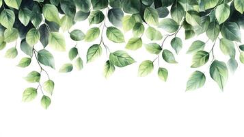 Fresh green leaves arranged in border composition with watercolor effect, featuring various shades and photorealistic botanical details with natural shadows. watercolor photo