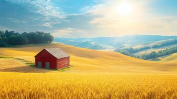 Panoramic rural farm landscape featuring red barn and golden wheat field against blue sky with dramatic sunburst, captured during golden hour with rolling hills. blue photo