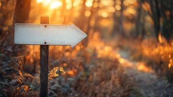 Minimalist white directional arrow sign on metal pole against blurred nature background with bokeh effect, featuring clean design in outdoor forest setting. nature photo