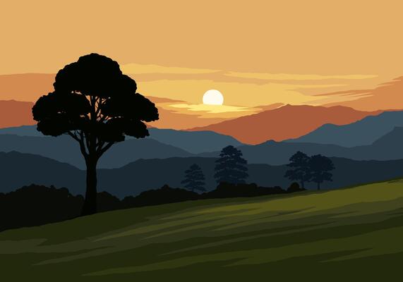 Sunrise over forest with meadow in foreground