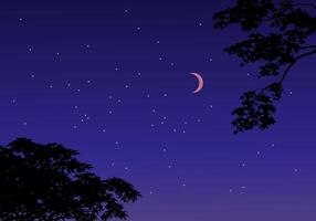 Nature background with trees and night sky vector