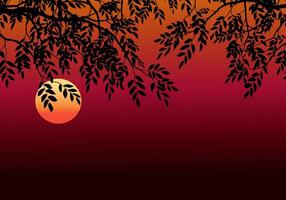 sunset background with branches and sunset vector