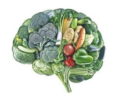 Variety of fresh vegetables arranged to resemble a brain shape showcasing healthy eating and nutrition photo