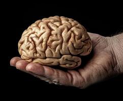 Hand holding a realistic model of a human brain against a dark background for scientific demonstration photo