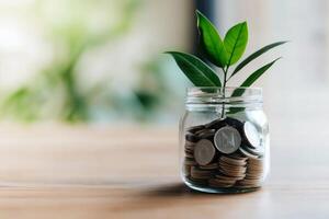 Plant growing in a jar filled with coins on a wooden table symbolizes financial growth and investment potential photo
