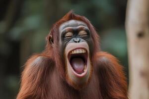 Orangutan joyfully yawning in natural habitat surrounded by lush greenery photo