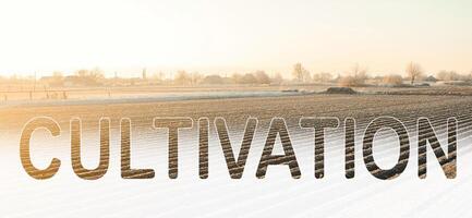 Word cultivation on background of winter farm field. Surface tillage, loosening soil, removing weeds. Preparatory agricultural work on spring. Agriculture and agribusiness. Presowing soil preparation photo