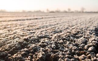 Frozen ground with hoarfrost on a farm field. Unpredictable weather, global climate destabilization. Weather forecast and development time strategy for sowing growing crops. Focus on frozen soil photo