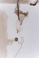 This still life photograph features elegant electrical wires hanging from the ceiling against a clean white wall, creating a striking contrast that captivates the viewer photo