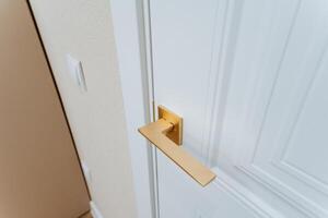 This image features a detailed closeup of a door handle that is situated on a pristine white door, emphasizing the craftsmanship and design of this essential household hardware photo
