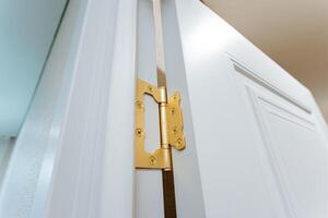 This is a closeup view of a door hinge affixed to a pristine white door, showcasing the intricate details of the hardware that allows the door to swing open and closed smoothly photo