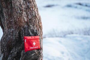 A vividly bright red first aid kit stands out prominently against a snowcovered tree trunk, creating a striking and memorable contrast in the pure white winter landscape surrounding it photo