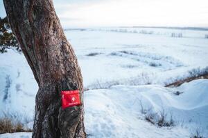un brillantemente de colores rojo primero ayuda equipo es de forma segura pegado a un robusto árbol en un pintoresco Nevado paisaje, acentuando el maravilloso belleza y frialdad ese define el invierno temporada foto