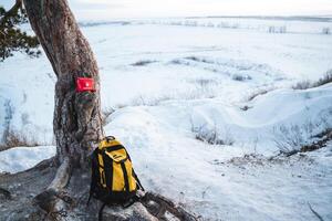 A vibrant, bright yellow backpack is positioned casually against a strong, sturdy tree, framed by a beautiful blanket of pristine white snow in this enchanting winter wonderland scene, photo