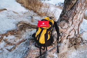 A bright yellow backpack and a vibrant red first aid kit lean against a large, sturdy tree, together creating a colorful and eyecatching scene set in natures serene and peaceful embrace photo