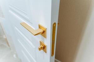 In this image, we see a detailed closeup view of a pristine white door that is complete with an elegant gold handle, showcasing its beauty and functionality in home design photo