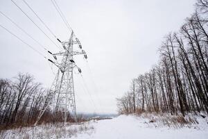 An electric power line stretches its way across a serene snowy forest, contrasting against the picturesque backdrop of towering trees and the delicate twigs coated in pristine white snow photo