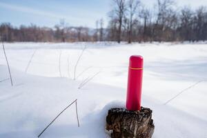 Red thermos sits on log in snowy nature, under sky with freezing temperature photo