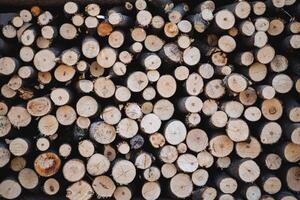 A tower of logs creates a rustic pattern in the light photo