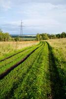 A dirt road gently winding its way through a lush, grassy field, with a power pole standing tall against a picturesque backdrop in the background, providing electricity to the area photo