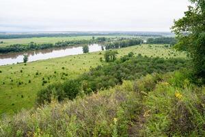 A river gracefully runs through a vibrant and lush green field that is beautifully surrounded by tall and leafy trees, creating a picturesque and serene natural landscape photo