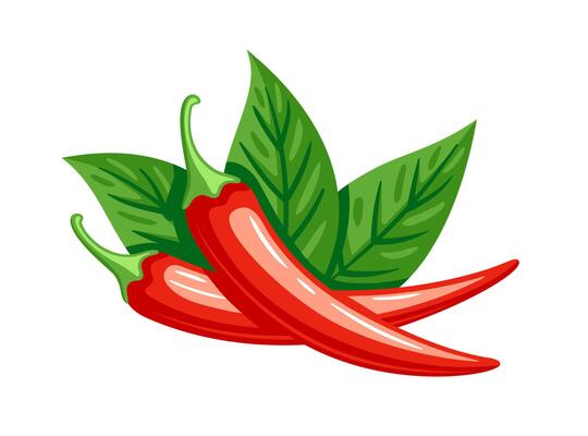 Red chili peppers and leaves