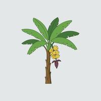 A charming line drawing showcases a banana tree, its lush green leaves and vibrant yellow bananas creating a cheerful, tropical atmosphere. The simple style adds to its appeal. vector