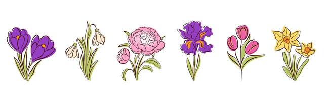 Spring flower set with crocus, snowdrop, peony, iris, tulip and daffodil in line art, flat style. Perfect for seasonal design, greeting card, poster and nature theme. Isolated on a white background. vector