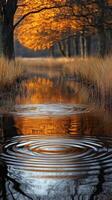 Autumnal stream reflection, tranquil fall scene, golden leaves, nature photo