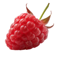A fresh raspberry on a transparent background png