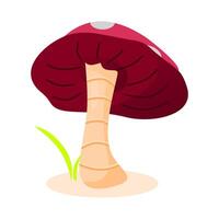 Red mushroom with rock and white background vector
