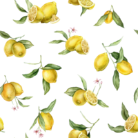 Watercolor seamless Pattern with illustration of whole and half Lemons with pink flowers. Hand painted print with citrus branch with green leaves on isolated background for print textile png