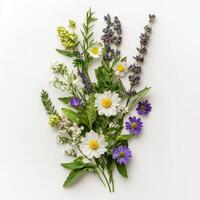 Meadow elegance concept. A colorful arrangement of various fresh flowers and greenery. photo