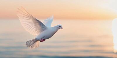 Love through faith for valentine's day concept. White dove flying over a serene ocean at sunset. photo