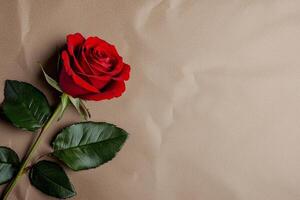 Brown background valentine s day concept. A vibrant red rose on a textured brown background. photo