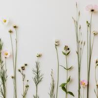 Meadow elegance concept. Floral arrangement of various wildflowers against a light background. photo