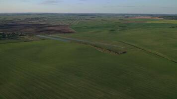 Bird's-eye view of a green field .Sowing campaign in Belarus.Nature Of Belarus.Own green field at sunset video