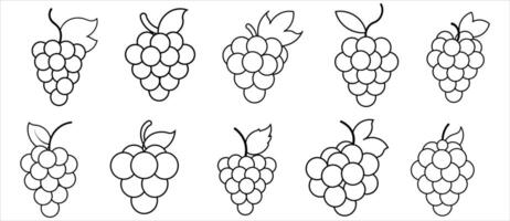 Nine Black and White Grape Line Art Illustrations vector